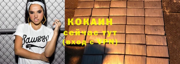 дживик Богданович