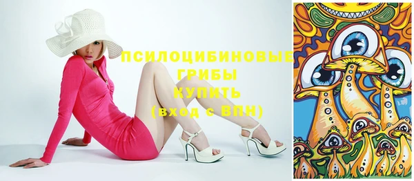 первитин Богородск