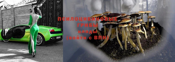 дживик Богданович